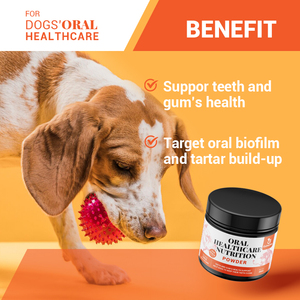 Polvo <span class=keywords><strong>de</strong></span> limpieza <span class=keywords><strong>de</strong></span> dientes para perros OEM, polvo Dental para perros y gatos, placa ambientadora para el <span class=keywords><strong>aliento</strong></span>, limpieza <span class=keywords><strong>de</strong></span> dientes <span class=keywords><strong>de</strong></span> mascotas, laboratorio, mal <span class=keywords><strong>aliento</strong></span> - Product Image 4