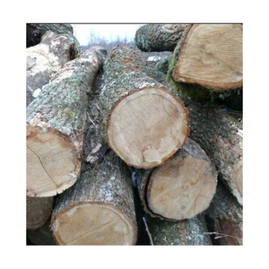 Bûches rondes en bois pour meubles à vendre Bois dur Bois de chauffage Bois de bouleau Chêne et hêtre Bois de chauffage/<span class=keywords><strong>Mangrove</strong></span>