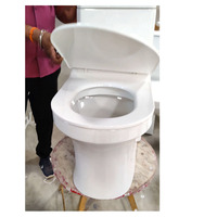 WC monobloc moderne à double chasse, cuvette en céramique blanche, réservoir encastré, Lava 110 S/P Trap, couvercle à fermeture douce