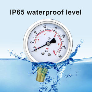 Pengukur Tekanan Air Dual Scale Psi 600bar 62.5mm ZG1/4 Tahan Bahan Kimia Pengukur Tekanan Berisi Oli - Product Image 3