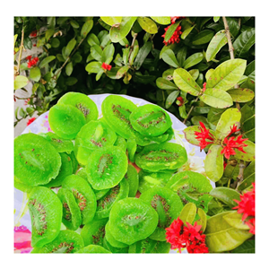 Kiwi Deshidratado Suave, Rodajas de Kiwi Natural Hechas con Fruta Madura para Producción de Snacks y Procesamiento de Alimentos, Origen Vietnam - Product Image 5