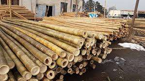 Natural Eco-friendly <b>Bamboo</b> <b>Fence</b> High Popularity <b>Bamboo</b> Pole Viet Nam - Product Image 2