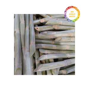 ชิ้นส่วนอ้อยแช่แข็ง IQF บรรจุและแปรรูปเป็นจำนวนมากสำหรับผู้ผลิตเครื่องดื่มและผู้จัดจำหน่ายอาหารจำหน่ายทั่วโลก - Product Image 6