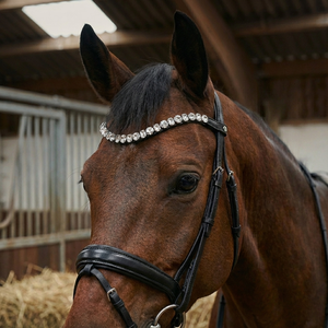 Elegante Brida de Cuero Negra para Caballo con Diadema de Cristal, Diseño Curvo con Pedrería, Color y Tamaño Personalizables, Empaque Personalizado - Product Image 2