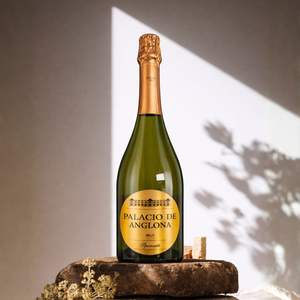 Vino Espumoso Blanco Palacio de Anglona Airen & Tempranillo 10.5% ABV, Vino Espumoso Español 750ml - Product Image 2