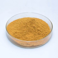 Poudre d'extrait de kaki pur en gros poudre d'extraction de meilleure qualité de fruits naturels de kaki
