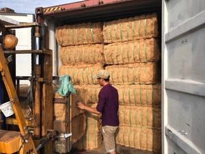 Sợi Dừa Xơ dừa 100% sinh thái thân thiện tự nhiên Coco trấu sợi thấp nhất giá bán buôn từ Việt Nam nhà máy - Product Image 3