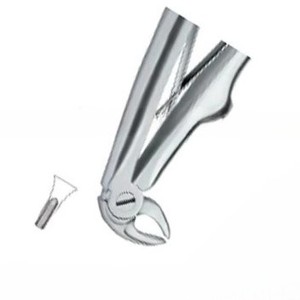 Forceps d'extraction dentaire Fig.137, manuel, haute qualité, logo personnalisé, instruments dentaires en acier inoxydable, certifié CE, Nawaz Surgical - Product Image 5