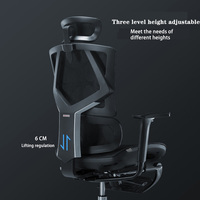 Chaise de bureau SIHOO M90B M90C silla ergonmica avec support lombaire PP + fibre matériel panier arrière chaise de bureau