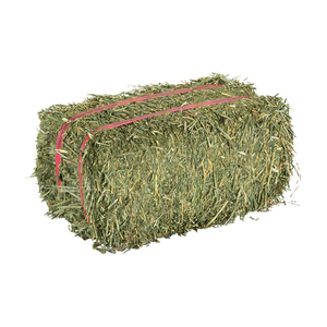 Precio al por mayor de alfalfa de grado superior a granel para alimentación animal/heno de alfalfa para exportación - Product Image 2