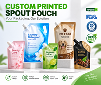 Emballage de détergent à lessive personnalisé de 500ml 1000ml Design personnalisé pochette de bec de shampoing debout pour sac de bec d'emballage de gel liquide