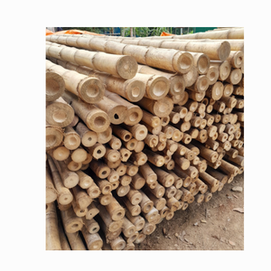 Le Meilleur Fabricant Poteau De Bambou Paysage Piquets De Tomate Support De Plantes De Jardin Poteau De Bambou Naturel/Cannes De Bambou Droites - Product Image 4