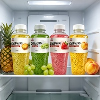 Boisson Prête à Boire Stérilisée OEM Concentré de Raisin Vert et Graines de Chia 450ml Bouteille PET Riche en Fibres Faible en Matières Grasses Boisson Saine aux Fruits