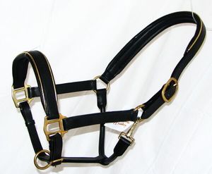 Cuero HALTER HEADCOLLAR POSH GOLD ribete bordes latón confort acolchado Show - Product Image 1