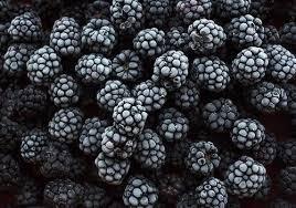 Mûres surgelées de qualité alimentaire, IQF, idéales pour les jus, les confitures et la pâtisserie, disponibles en gros, fraîches et de haute qualité - Product Image 5