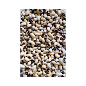 Haricots noirs pour l'approvisionnement en gros avec une disponibilité stable sur le marché de gros - Product Image 6