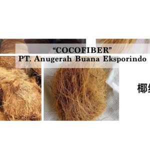 Fibre de coco premium issue de la coque de noix de coco naturelle, transformée pour les supports de culture, les pépinières, le paillis et l'artisanat. - Product Image 4