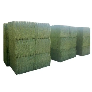 Disponible dès maintenant pour la vente en gros, foin d'alfalfa de qualité supérieure pour exportation immédiate - Product Image 3