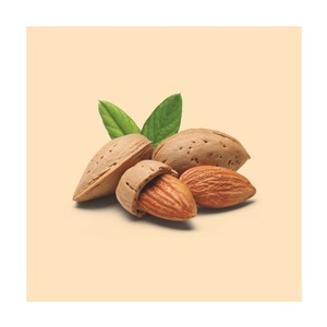Almendras secas crudas orgánicas de grado superior al por mayor a granel 1kg para uso alimentario - Product Image 2