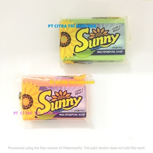 ZOTE JABÓN LAVANDERÍA DOBLE FUNCIÓN MÁQUINAS PARA HACER JABÓN ELECTRODOMÉSTICOS LAVANDERÍA LAVADO DE LIMÓN BARRA DE JABÓN EN Porto Alegre BRASIL - Product Image 5