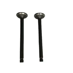 03G109601B 03G109611D Inlet & Exhaust Engine Valve fits for Auudi Engine Spare Parts A6 2.0 TDI-PD16VEng. BNA-BLB-BREEngBRF-BVG