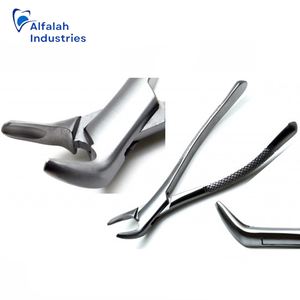 คีมถอนฟันสแตนเลสแบบอเมริกัน151 - Product Image 1