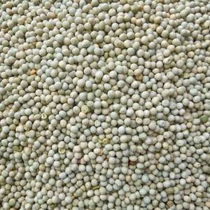 Vente en gros de pois verts séchés à l'air en vrac, prix avantageux pour légumes séchés (AD) à vendre - Product Image 6
