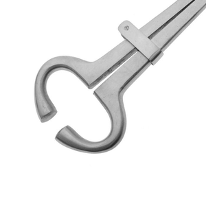 Porte-nez de bétail à ressort de 13 cm, instruments vétérinaires au Pakistan, ressort en spirale, porte-nez de bétail, dispositif de retenue pour animaux - Product Image 4