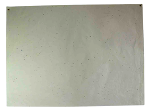 Premium Quality Beautiful Handmade Recycled Cotton <b>Paper</b> Cream Color Seeds Mottling 300 Gsm Sheet - Product Image 2