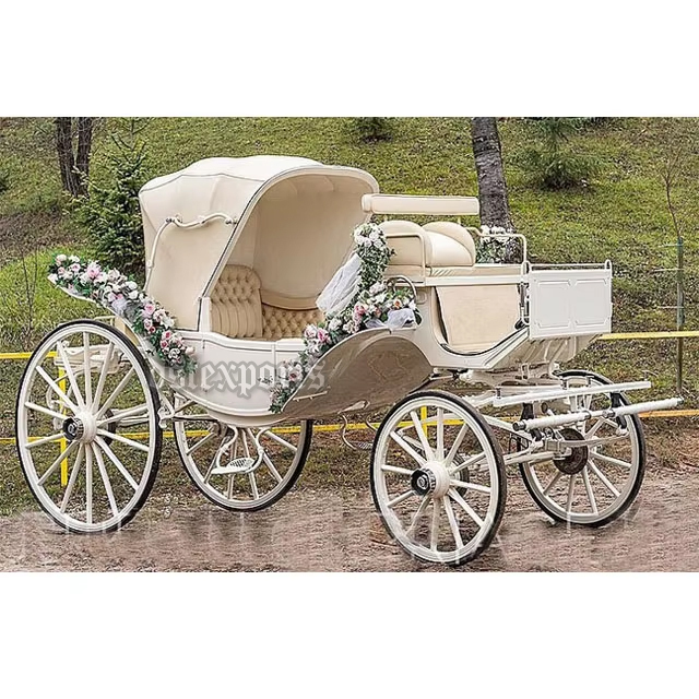 オーストラリア観光客向けビクトリア馬車 新登場 モダンデザイン