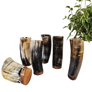 2024 Venta caliente acabado Natural pulido cuerno de buey vikingo vasos de chupito tazas DISEÑO DE Animal náutico regalo perfecto para artesanías Z - Product Image 1