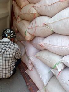 Exportación de cáscara de anacardo de Vietnam para alimentación de ganado y pigmentos naturales subproducto agrícola - Product Image 2