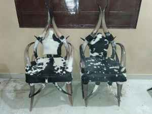 Chaise en corne de buffle naturelle au design moderne, très résistante, antique, solide, polie, écologique, sculptée à la main, taille personnalisée - Product Image 4