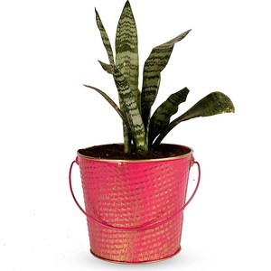 Jardinière de style moderne pour jardin et intérieur, couleur or - Product Image 5