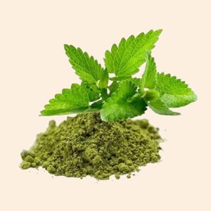Extrait sec de Tulsi |   Poudre d'extrait sec d'herbes |   Fabriqué en Inde |   pour les formulations ayurvédiques et cosmétiques |   Pack de 1 kg - Product Image 1