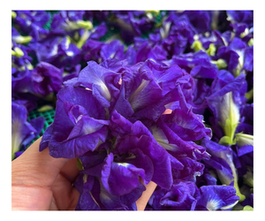 Flor de Clitoria Ternatea Seca Orgánica de Vietnam y Gama Amplia de Flores Comestibles Expandidas para Bebidas de Té e Industria Culinaria - Product Image 1