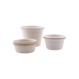 Vajilla de bagazo biodegradable hecha de fibras naturales de caña de azúcar - Product Image 3