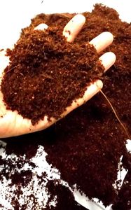 Fibres de coco naturelles pour le jardinage, conditionneur de sol, substrat de culture, export, vente en gros, fournisseur OEM - Product Image 3