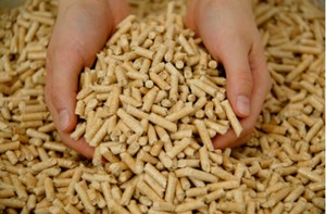 Fournisseur en gros de granulés de bois de haute qualité, forme bâton, 0,6 % de cendres, 4800 J de calories, densité 1,2 g/cm³, diamètre 6-8 mm, longueur 20-55 mm - Product Image 2