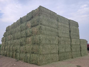 อัลฟัลฟ่าสีเขียวเกรดอาหารสัตว์เลี้ยงปศุสัตว์เกรดสดตัดหญ้าได้25กก./2% ความชื้น - Product Image 6