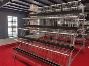Nuevo Sistema de Equipamiento para Granjas Avícolas Zhongnuo ZN3-96, Jaula para Gallinas Ponedoras con Batería Galvanizada, Bebedero Automático, Larga Duración - Product Image 6