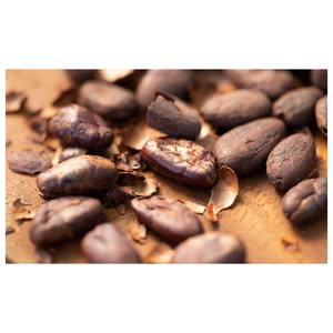 Coquilles de cacao de qualité supérieure et coquilles de cacao pur Déchets agricoles - Product Image 1