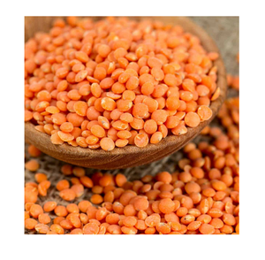 Lentilles entières rouges d'Australie à vendre bon marché, approvisionnement en vrac de haute qualité pour la cuisson, la transformation des aliments et l'exportation dans le monde entier - Product Image 2