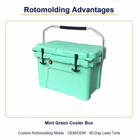 Moule de rotomoulage personnalisé OEM ODM pour glacière vert menthe, moulage rotatif, glacière isotherme, directement de l'usine
