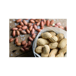 ถั่วลิสงอบกรอบรสกะทิธรรมชาติ ผู้ผลิตคุณภาพดี จัดส่งรวดเร็ว - Product Image 4