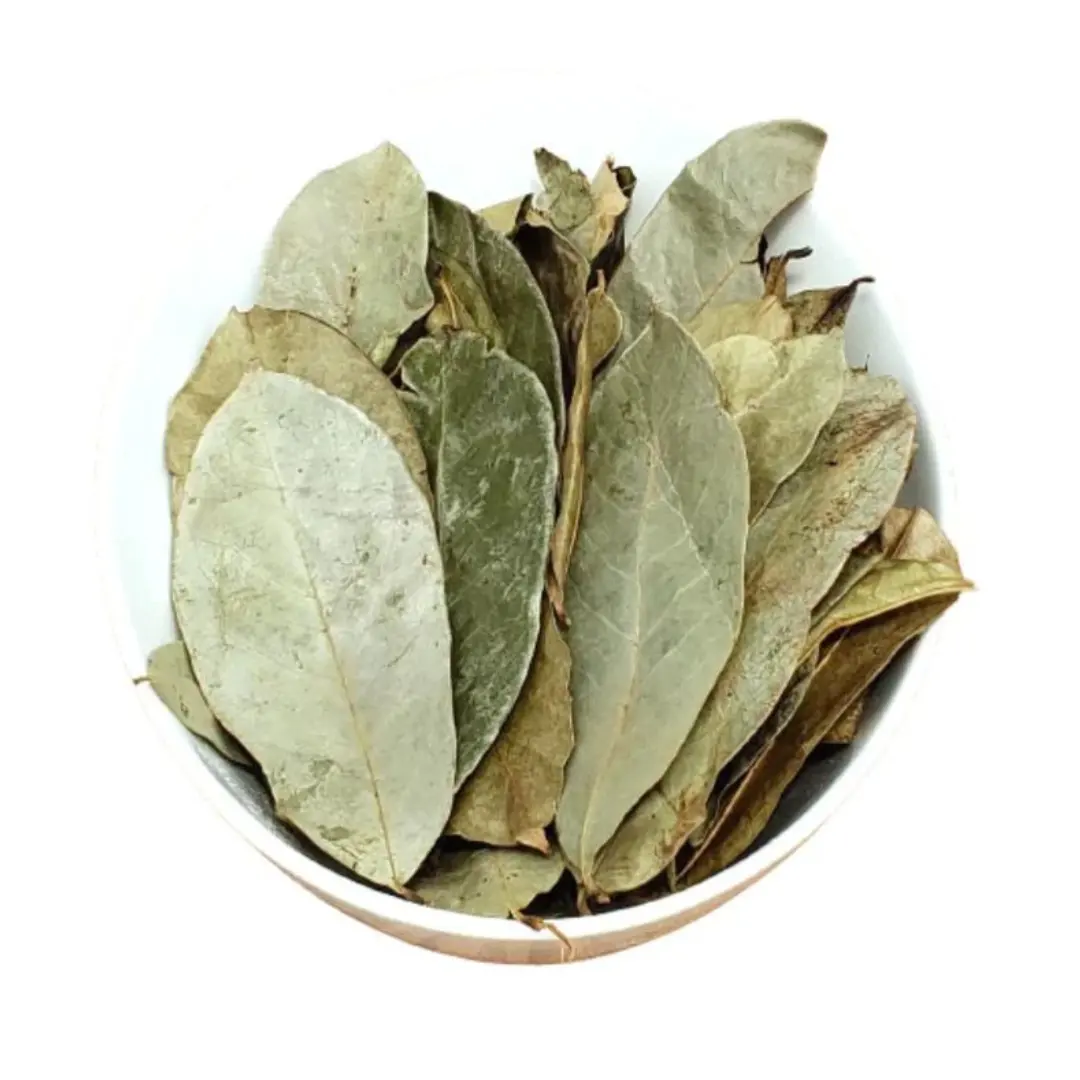 Premium kahverengi kurutulmuş Soursop, hiçbir katkı maddesi veya koruyucu madde içermeyen bir organik kurutulmuş Soursop yaprakları bırakır