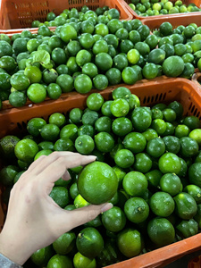 Limones sin semillas Premium cítricos frescos hechos a medida para importadores de EAU - Product Image 5