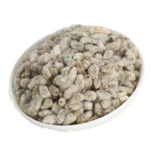 Fourniture en vrac de graines de coton biologique brut blanchies écologiques et anti-bactéries - Product Image 1