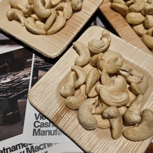 Competitive Price Vietnam <b>Cashew</b> <b>Nut</b> W180 Grade Organic With USDA/EU Certification Vacuum Packed Peeled for Food Processing - Product Image 3