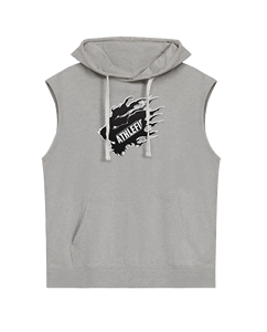 Haute qualité hommes entraînement sans manches à capuche débardeurs séchage rapide Gym sweats Logo personnalisé Fitness hommes gilet - Product Image 1